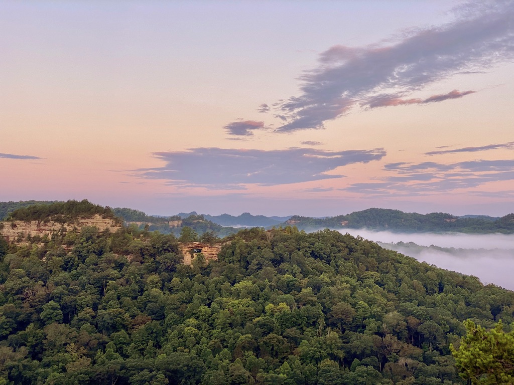 Forest-covered mountain ridges beneath a pink sunrise sky